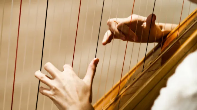 harp